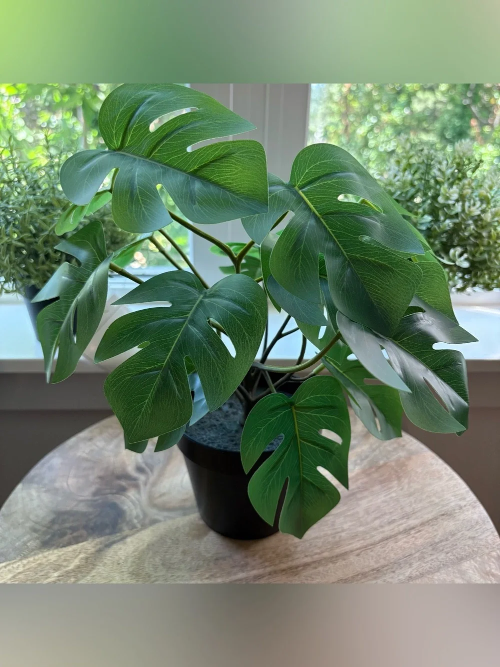 3 IKEA Artificial Plants Bundle FEJKA